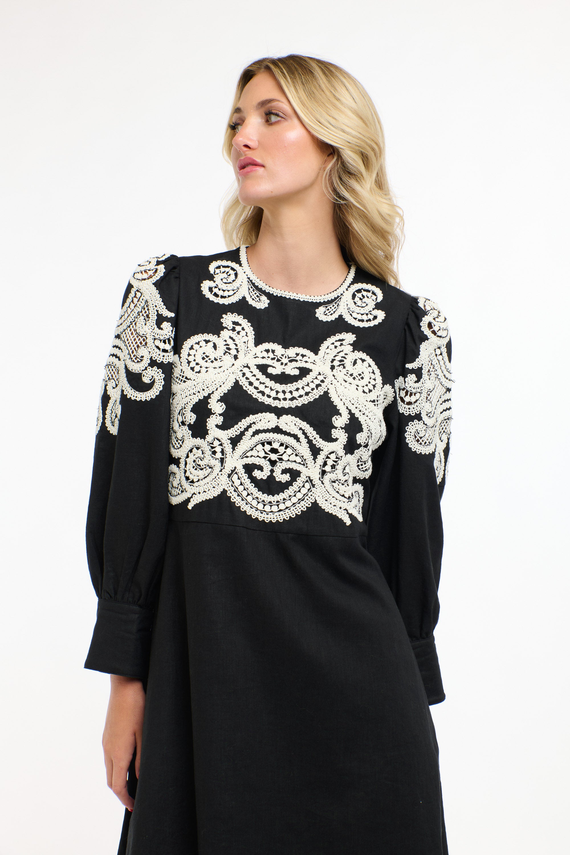 DANBURY DRESS BLACK SWAN