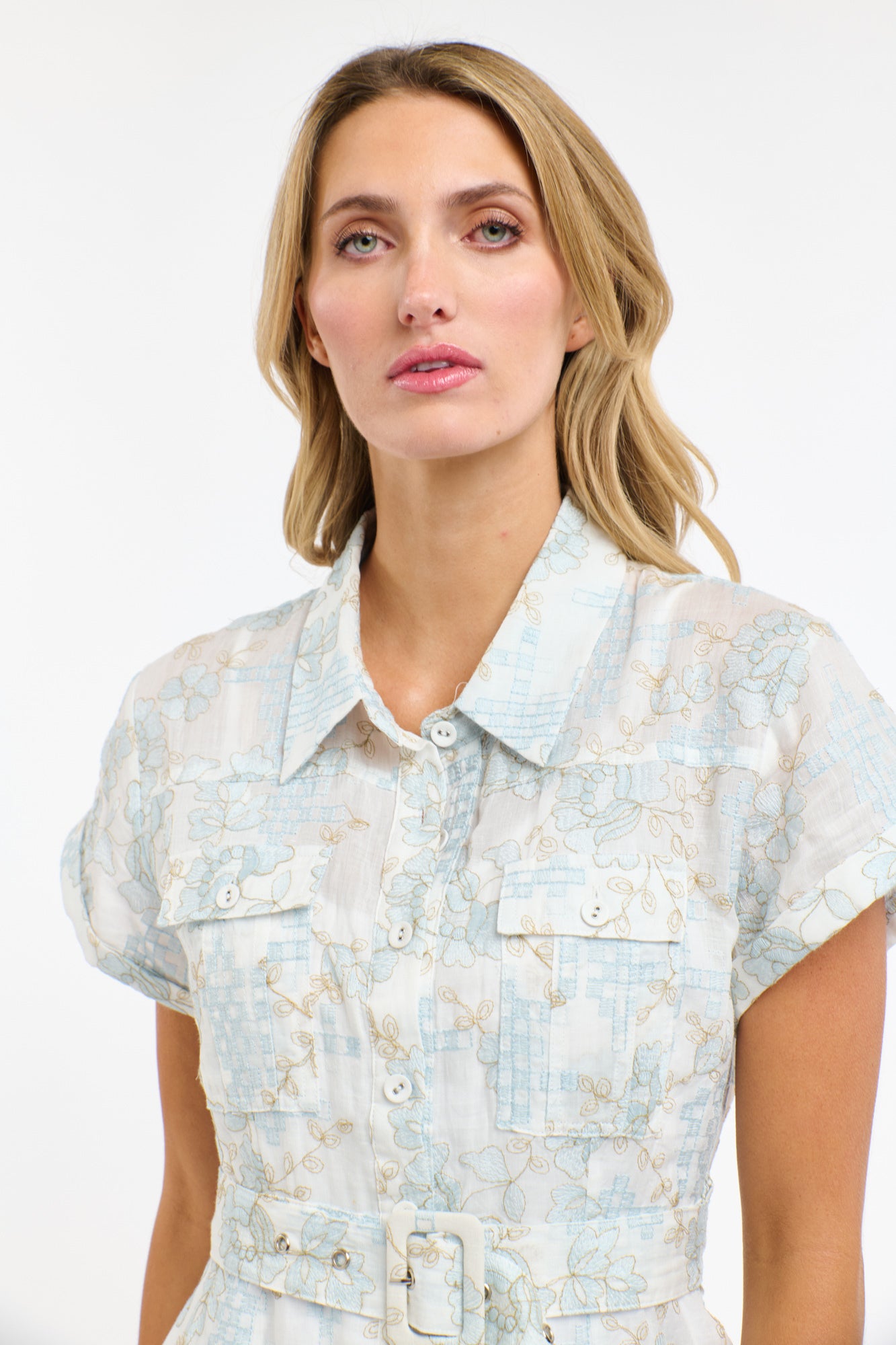 AMELIA EMBROIDERED DRESS